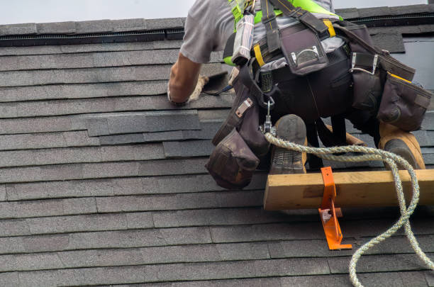Best Local Roofing Companies  in Fox Lake Hls, IL