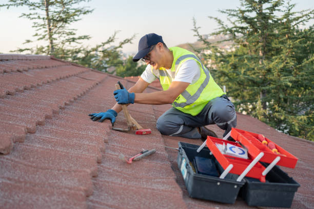 Best Metal Roofing Contractor  in Fox Lake Hls, IL