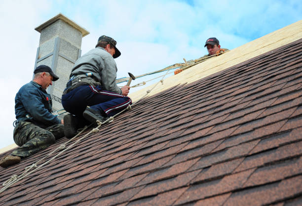 Best Residential Roofing Contractor  in Fox Lake Hls, IL