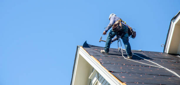 Best Roof Gutter Cleaning  in Fox Lake Hls, IL